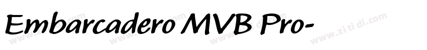 Embarcadero MVB Pro字体转换